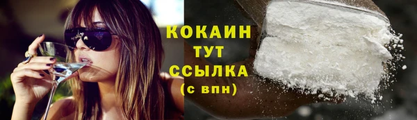 PSILOCYBIN Балабаново