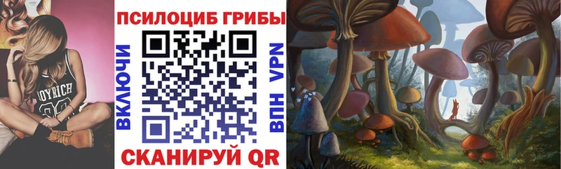 даркнет сайт  OMG ссылки  Псилоцибиновые грибы ЛСД  Озёрск 